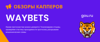 Виды прогнозов и стоимость в Waybets