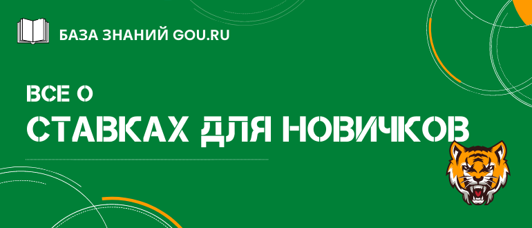 Все о ставках на спорт для новичков