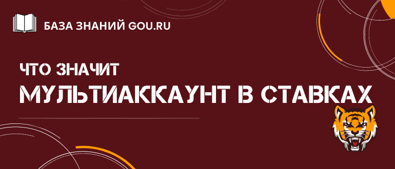 Что такое мультиаккаунтинг и мультиаккаунты