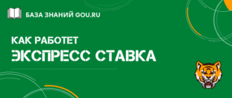 Как делать экспресс ставки на спорт в букмекерских конторах